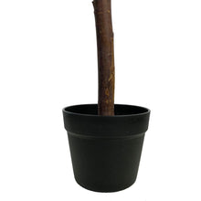 Load image into Gallery viewer, 4ft Laurel Tree Solid Wood Fabric Silk Flower Green Indoor and Outdoor General Simulation Tree