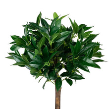 Load image into Gallery viewer, 4ft Laurel Tree Solid Wood Fabric Silk Flower Green Indoor and Outdoor General Simulation Tree