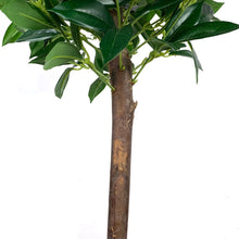 Load image into Gallery viewer, 4ft Laurel Tree Solid Wood Fabric Silk Flower Green Indoor and Outdoor General Simulation Tree